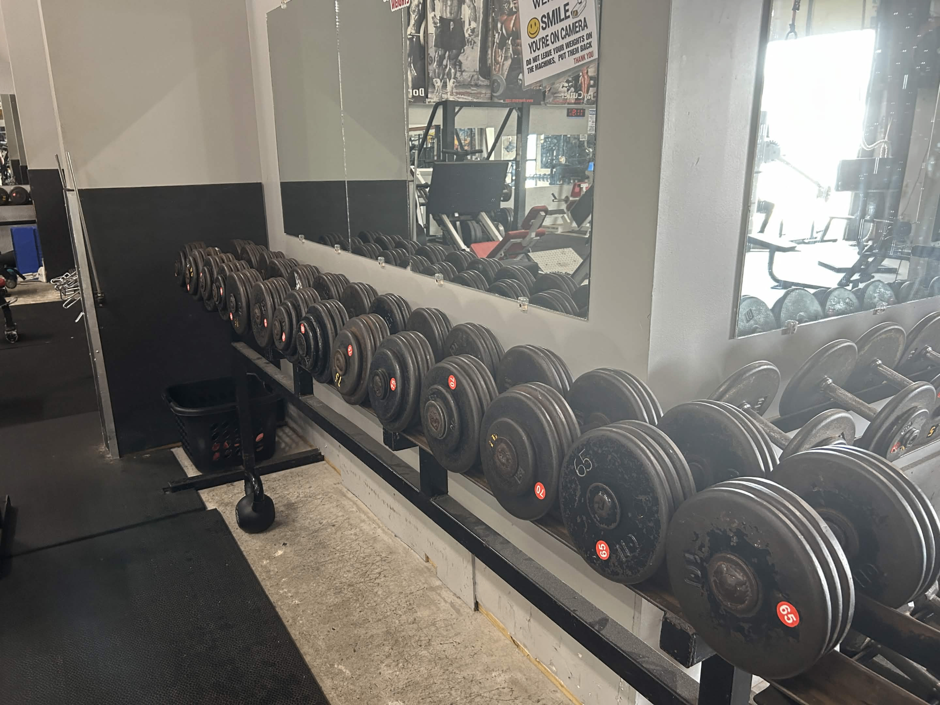 Heavy Dumbbell Rack at Dover Gym